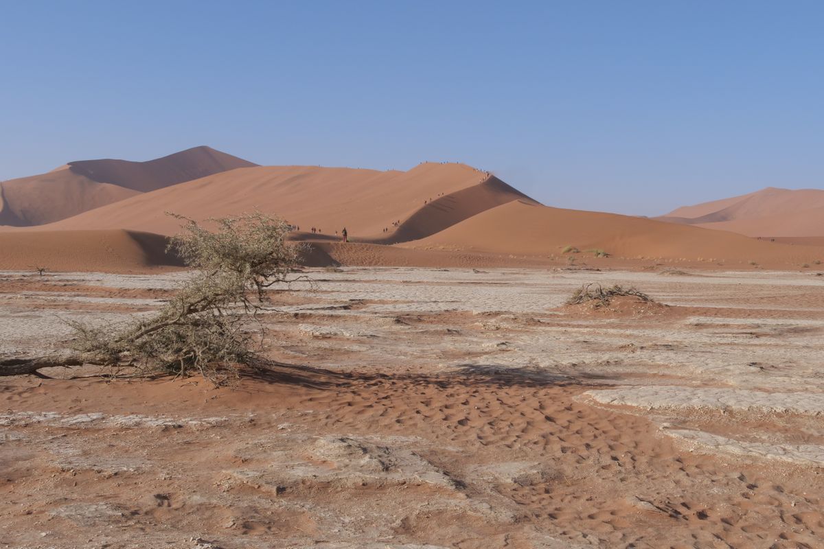 Towering orange dunes beneath blue skies in Namibia